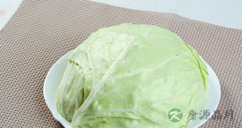 胃病老人吃什么食物好