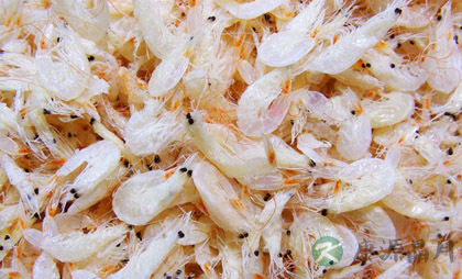 常吃九种食物让孩子更聪明