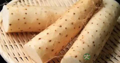 小孩子如何调理脾胃