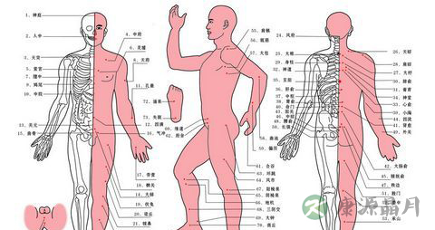 青少年自我点穴按摩增高术