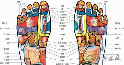 按摩9个穴位可治疗近视