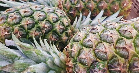 小孩孤独症怎么办