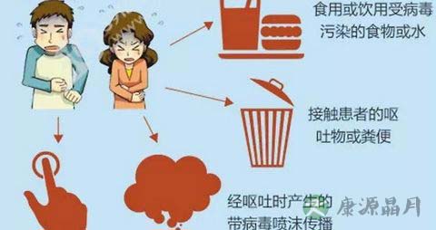 春节如何预防诺如病毒