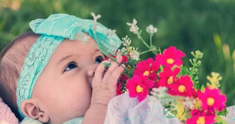 婴幼儿拉屎带血怎么办