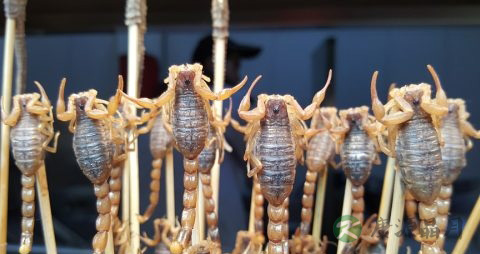 儿童饮食菜谱做法大全