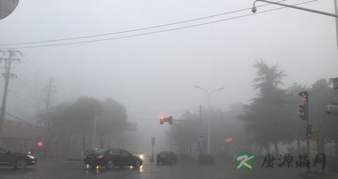 秋季开车技巧_雾霾天如何安全开车