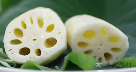 有胃病的人吃什么好