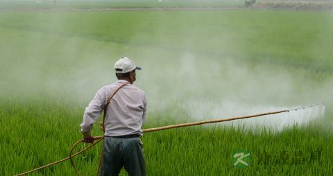 轻微农药中毒症状