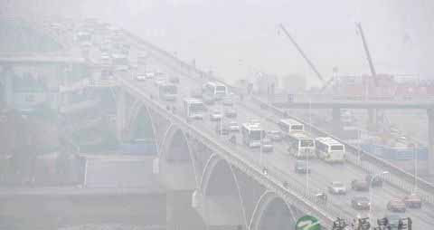 雾霾天气吃什么好