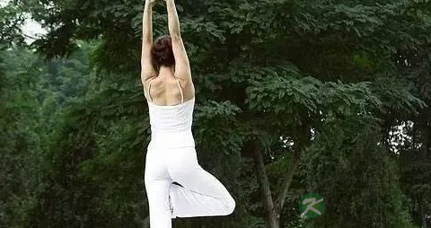 6种最常用的拍打拉筋自愈法