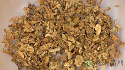 治疗鼻炎最有效的四种方法
