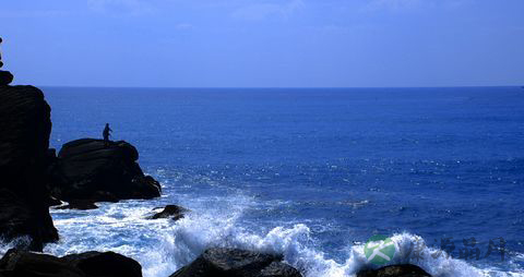 海边钓鱼需要什么装备