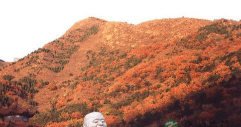 北京五一旅游一日游全攻略