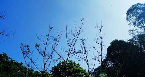 广州旅游：火凤线徒步攻略