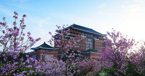 广州3月去哪儿看花？广州3月赏花全攻略