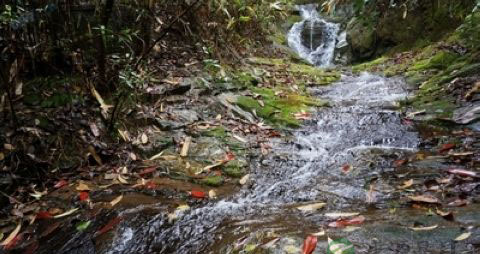雨后登山必知的15个注意事项