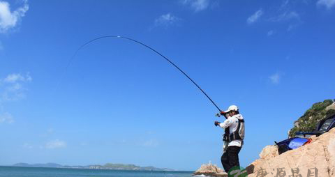 授之以渔！9大初夏钓鱼技巧