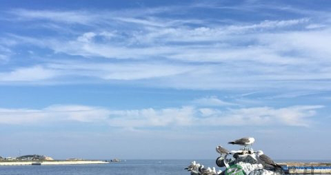 大连海边露营哪里好