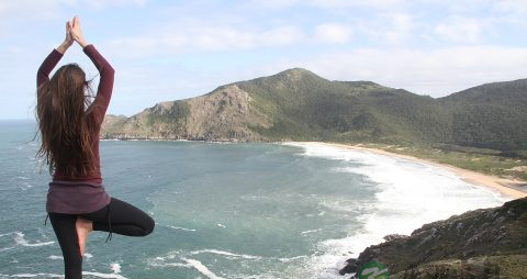 阴瑜伽和流瑜伽的区别