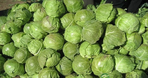 丰胸瑜伽怎么做