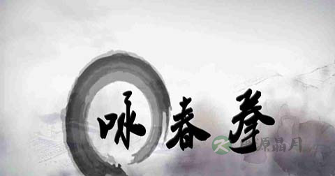 咏春拳的特点