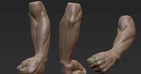 怎么锻炼手腕力量才大 怎么锻炼手腕力量才大