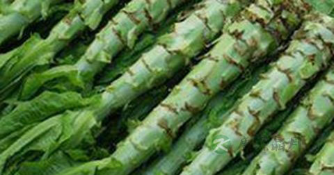 蓝莓汁减肥吗