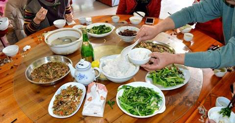 肥胖看什么科
