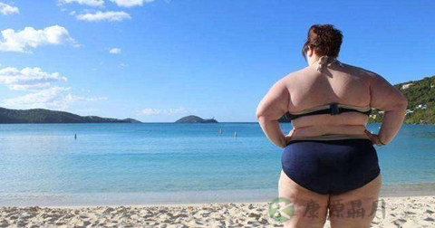 女生怎样瘦肚子