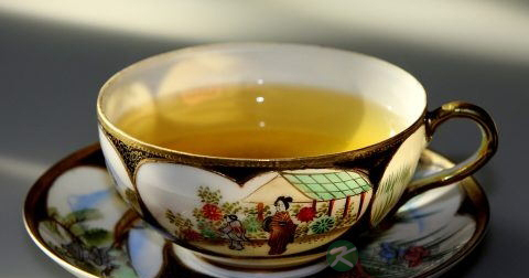 陈皮能减肥吗