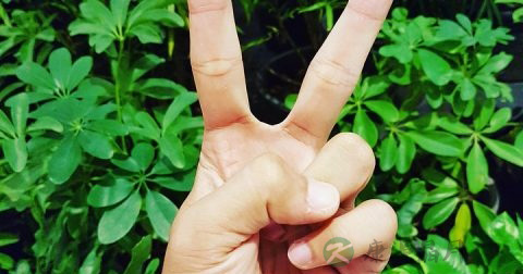 Breaking斗舞的手势和含义