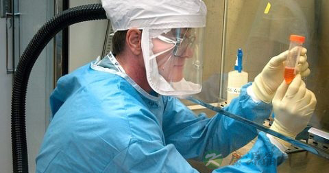 h7n9症状