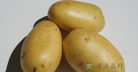 ab型血人多吗