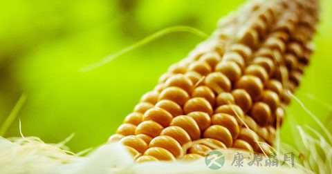 胸痛的原因