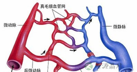 血小板偏低的原因是什么