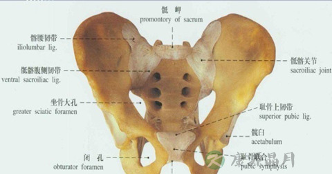 为什么做骨盆测量
