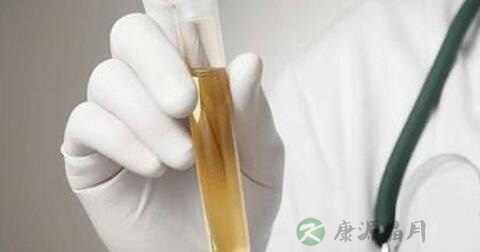 隐血弱阳性怎么办