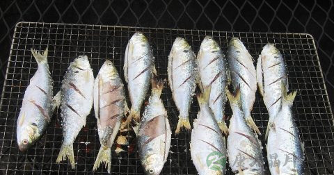 浆细胞骨髓瘤怎么治