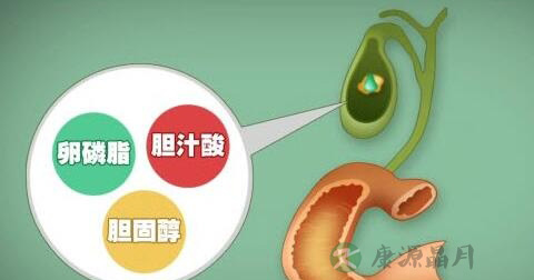 胆囊大小正常值是多少