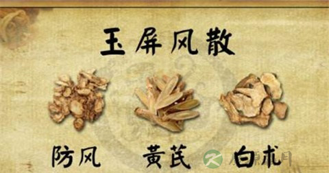 玉屏风散配方