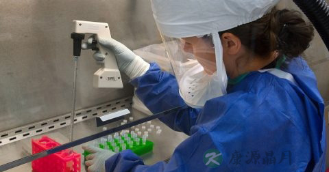 h7n9症状