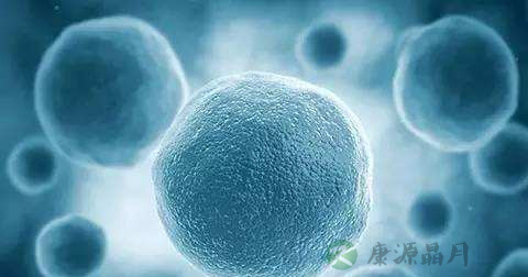 血清碱性磷酸酶偏低怎么办