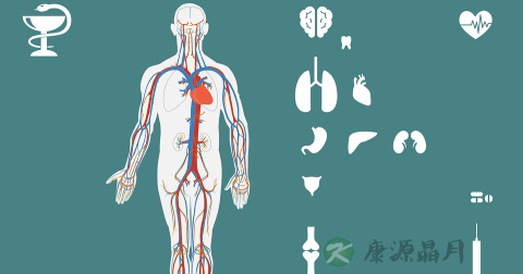 尿素和肌酐偏低是怎么回事
