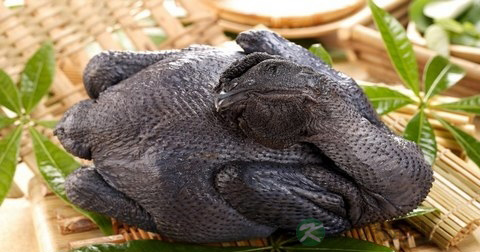 h7n9症状是什么
