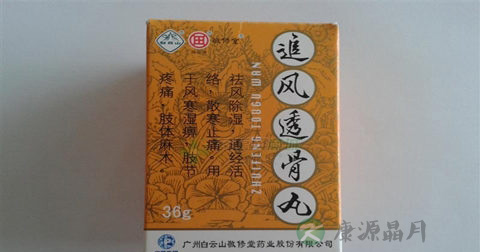 追风透骨丸说明书