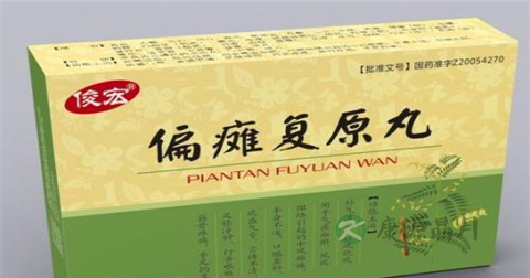 偏瘫复原丸说明书