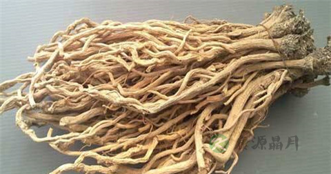清热解毒的药物