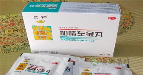 加味左金丸说明书