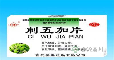 刺五加片的功效与作用