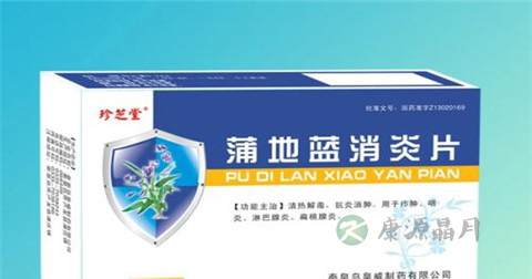 蒲地蓝消炎片说明书